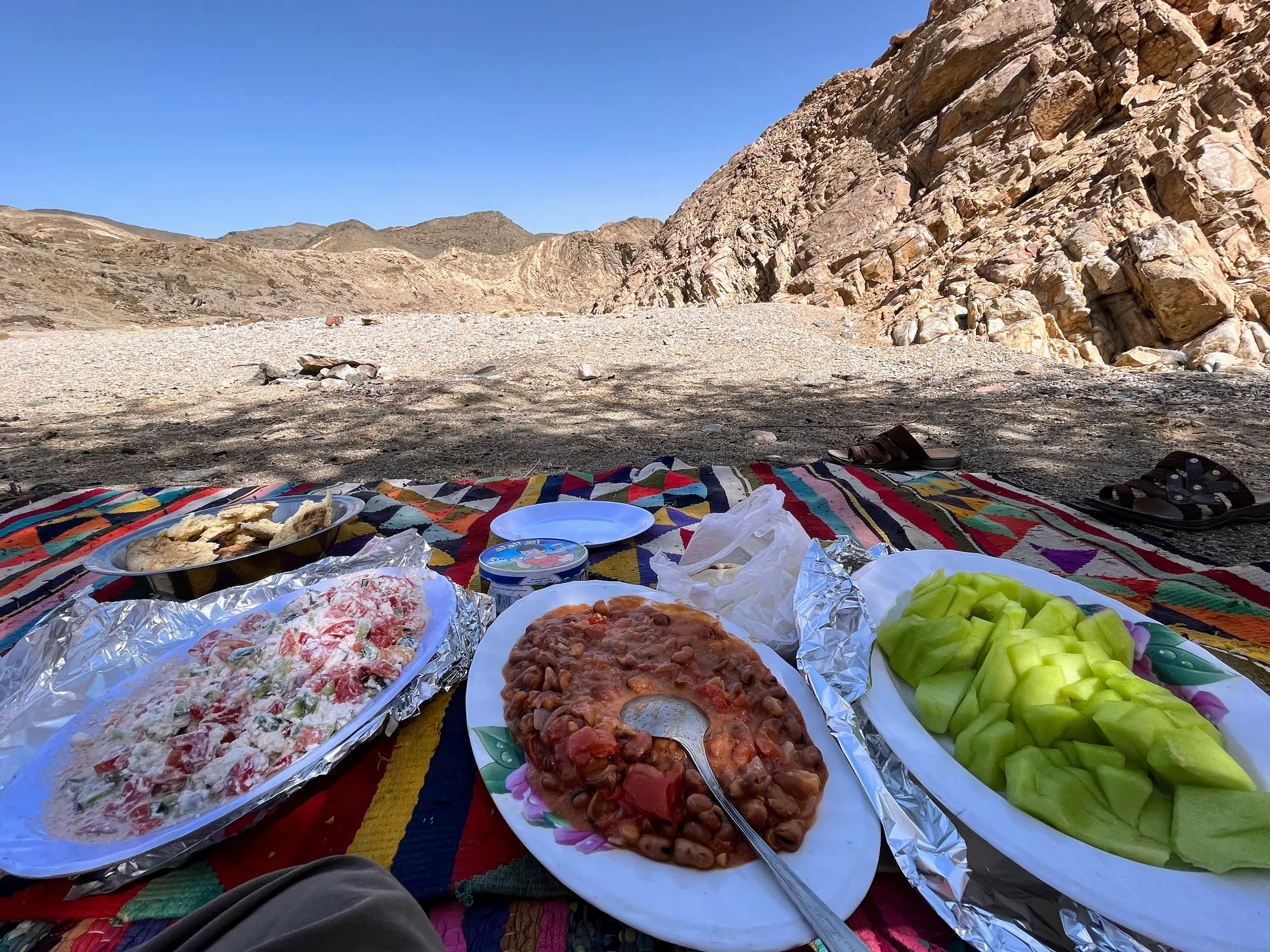 Bedouin meal, Moustafa pouring coffee from beans roasted over the fire, vegetarian stew made of beans, tomatoes, and onions