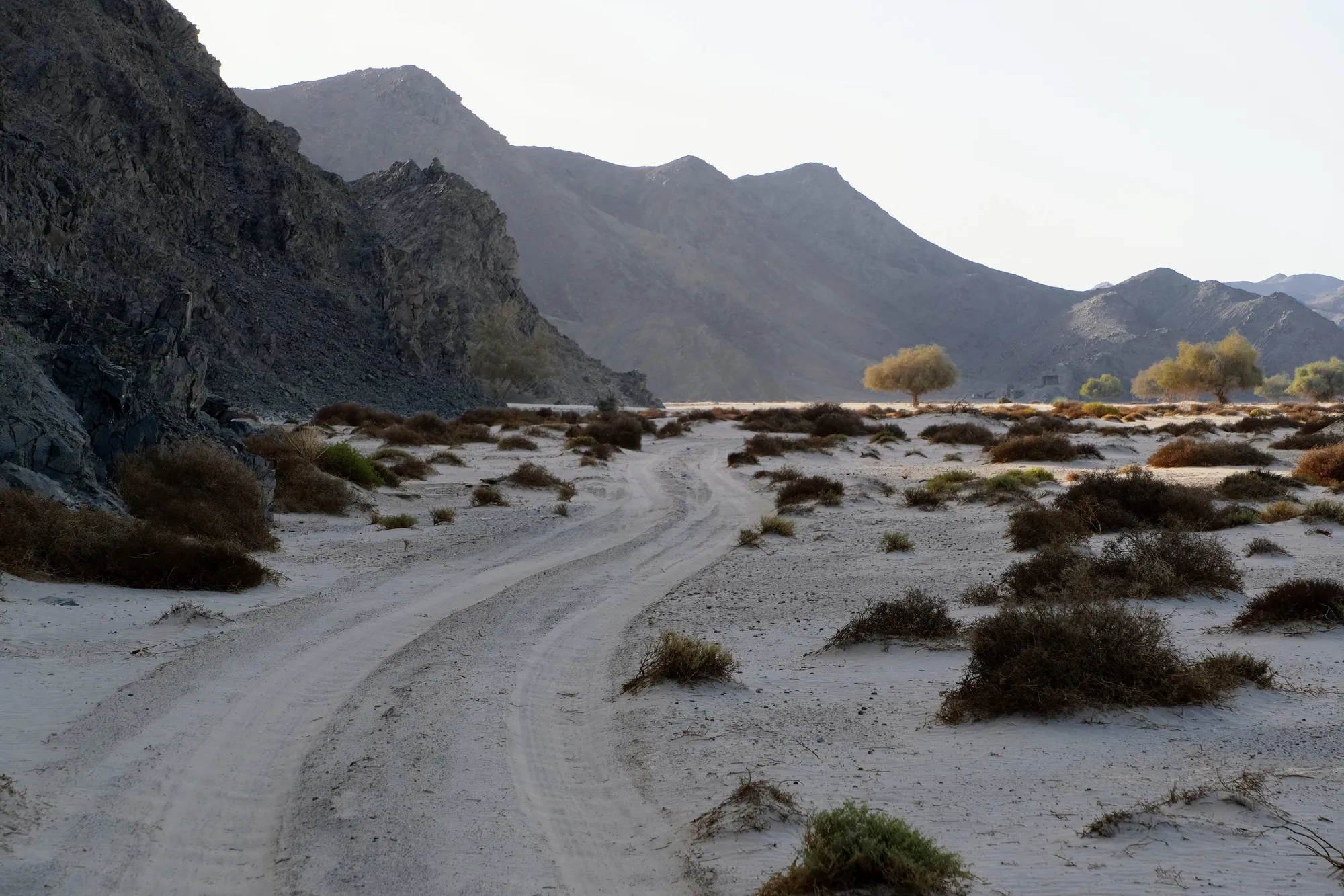 Mustafa, Ababda Bedouin at Wadi-El-Gemal, road at the park